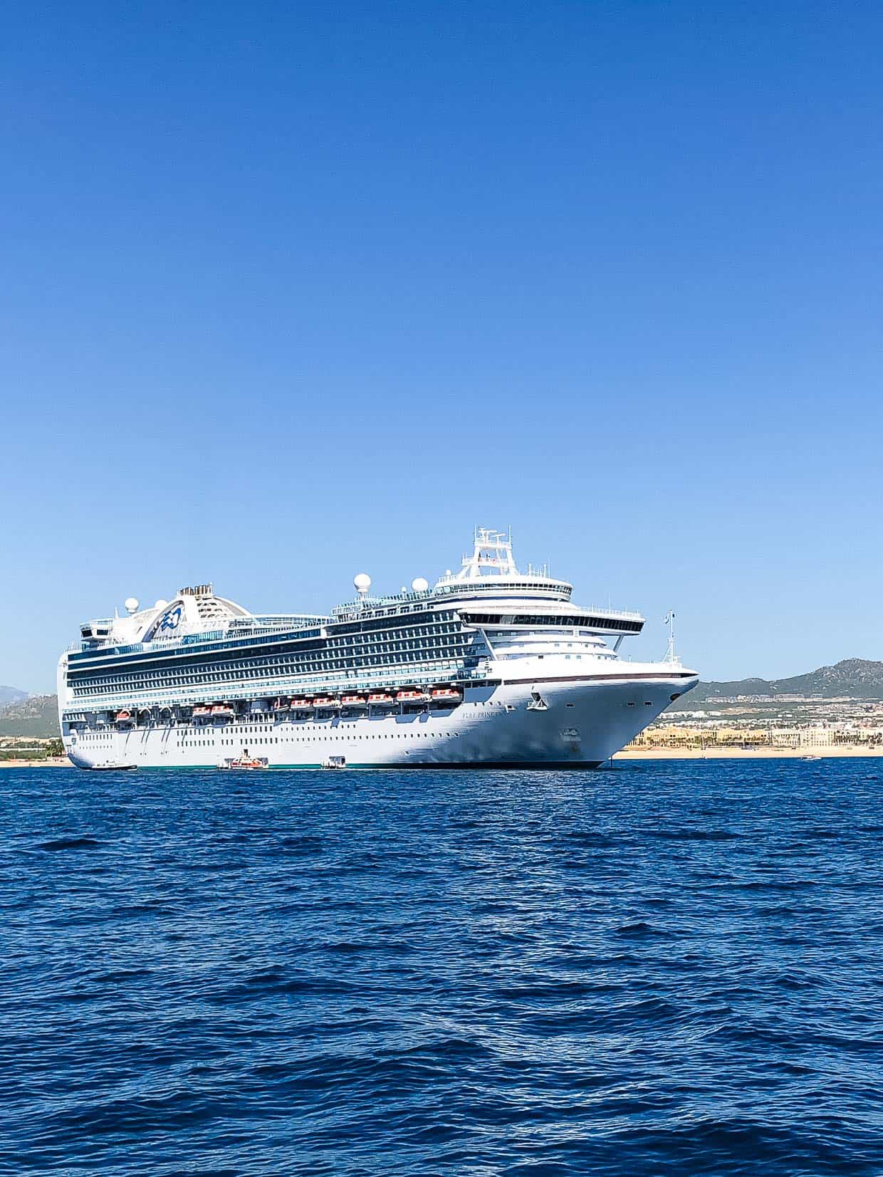 The Ruby Princess at port.