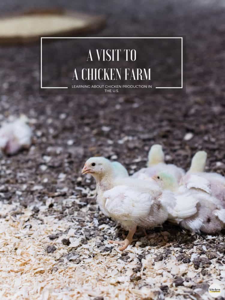 Have you ever wondered what it’s like at a chicken farm and chicken production in the U.S.? Join me as I share my recent visit to a chicken farm in Maryland for a Chicken Check In and how farmers and the National Chicken Council are working hard to provide safe, healthy, and sustainable food. #ad #chickencheckin