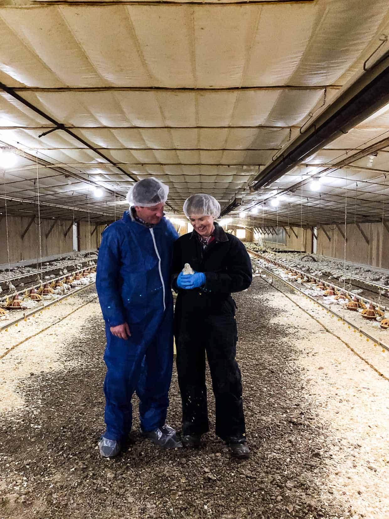 Chicken Check In and how broiler chickens are raised - learn the truth behind chicken farming. #sponsored by the National Chicken Council