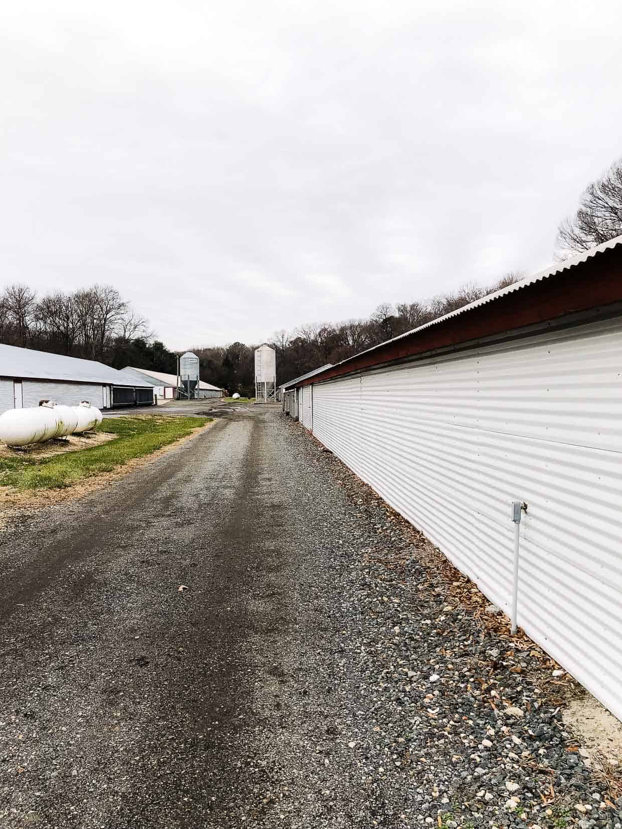 A Chicken farm in Maryland. #sponsored by the National Chicken Council