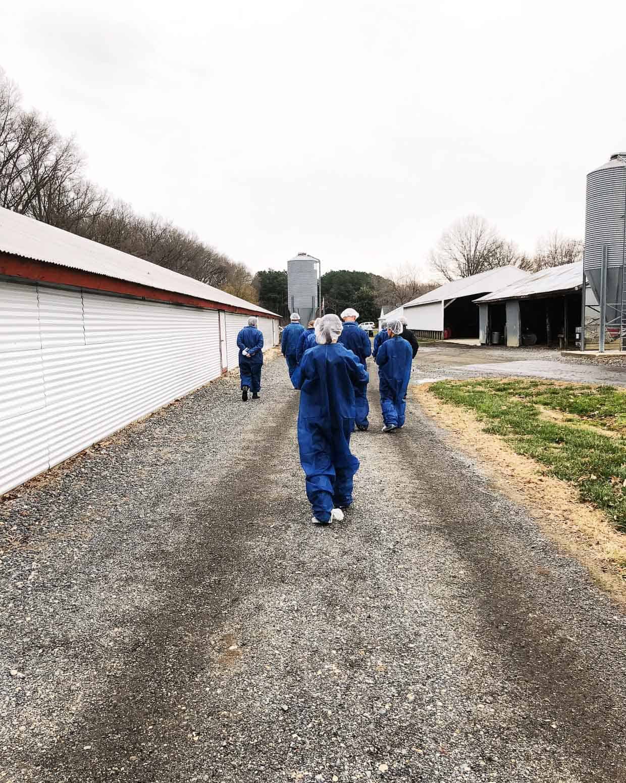 What it’s like at a chicken farm in the U.S.? Learn how farmers & the National Chicken Council are working hard to provide safe, healthy, sustainable food. #sponsored