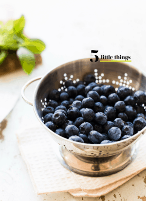 Bowl of blueberries in a colander.