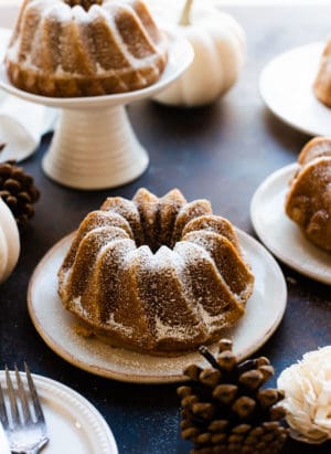 Pumpkin Spice Bundt Cakes sprinkled with powdered sugar. White pumpkins and pine cones in background.