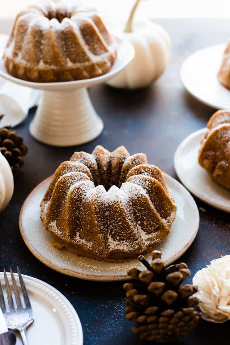 Pumpkin Spice Bundt Cakes sprinkled with powdered sugar. White pumpkins and pine cones in background.