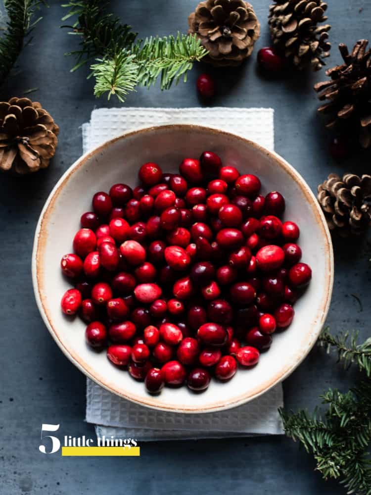 A bowl of fresh cranberries.