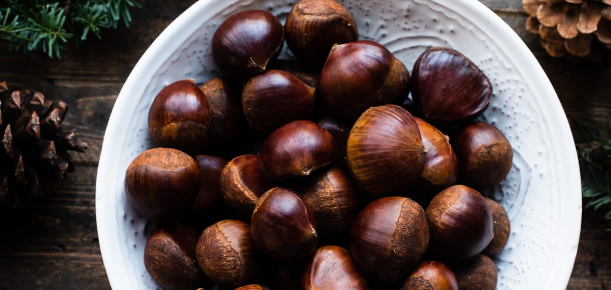 Fresh chestnuts for oven-roasted chestnut recipe in a white bowl on wooden table with evergreen, pinecones and oranges.