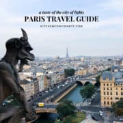 View from gargoyles of Notre Dame Cathedral in Paris for a Paris Travel Guide.