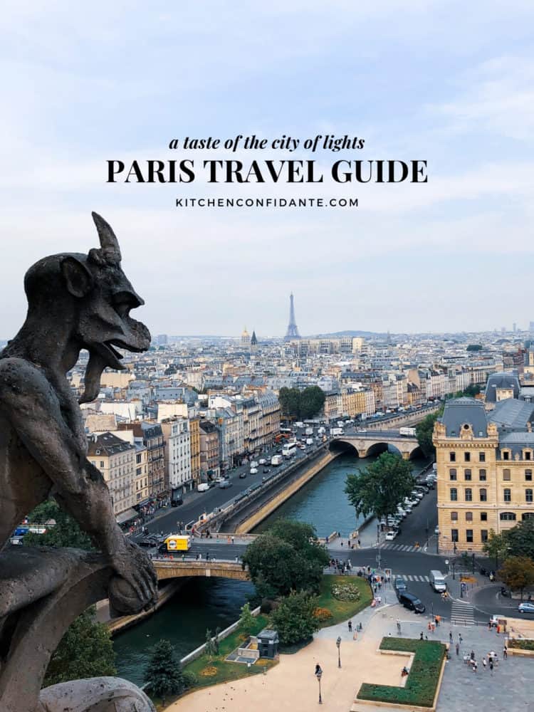 View from gargoyles of Notre Dame Cathedral in Paris for a Paris Travel Guide.