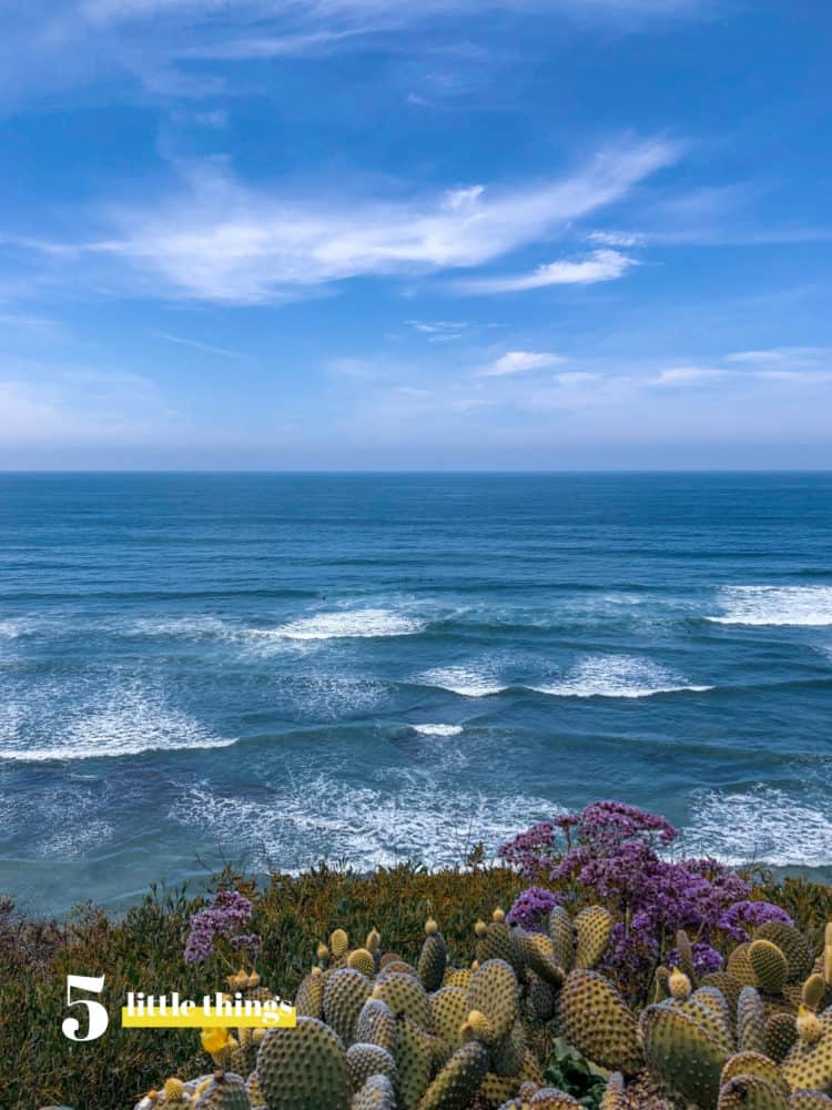 The San Diego surf and sun was one of Five Little Things I loved the week of May 24, 2019.