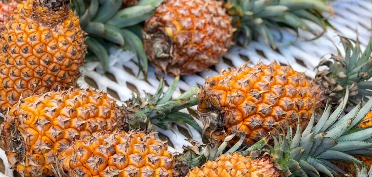 Okinawan pineapple in Okinawa, Japan.