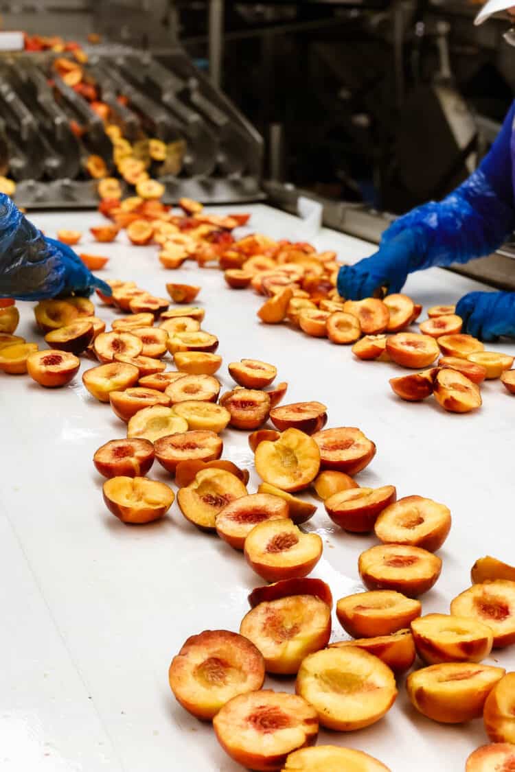 Fresh peaches at Wawona Frozen Foods, Central Valley California