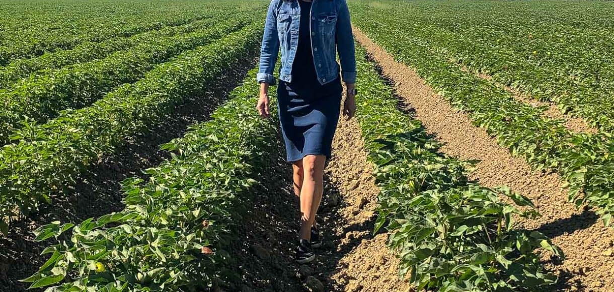 Walking through a cotton field while Touring Agriculture in Central Valley California