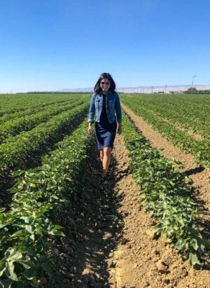 Walking through a cotton field while Touring Agriculture in Central Valley California