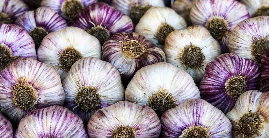 Garlic at market in Nice France.