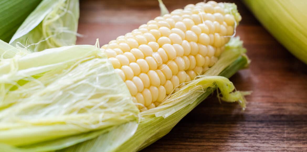 Corn on the cob cooked in microwave, peeling husk