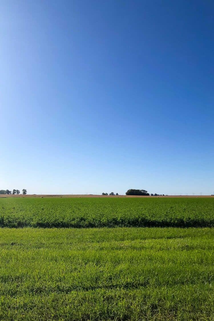 Iowa farmland.
