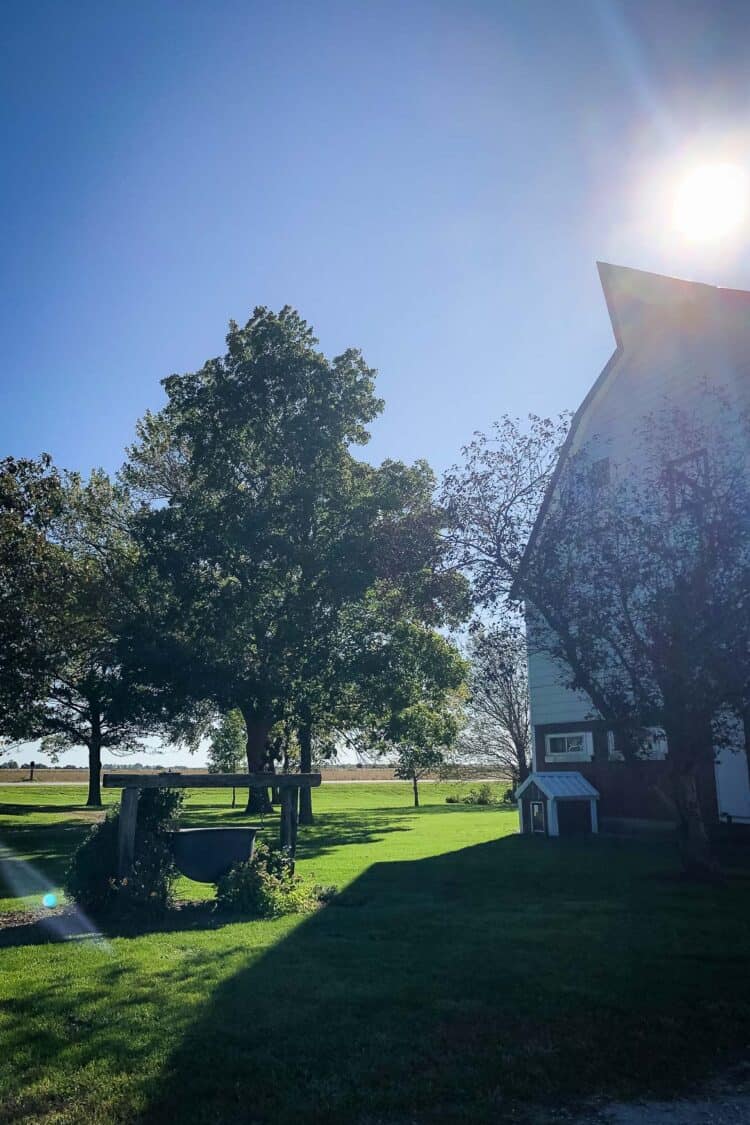 A farm in Iowa.