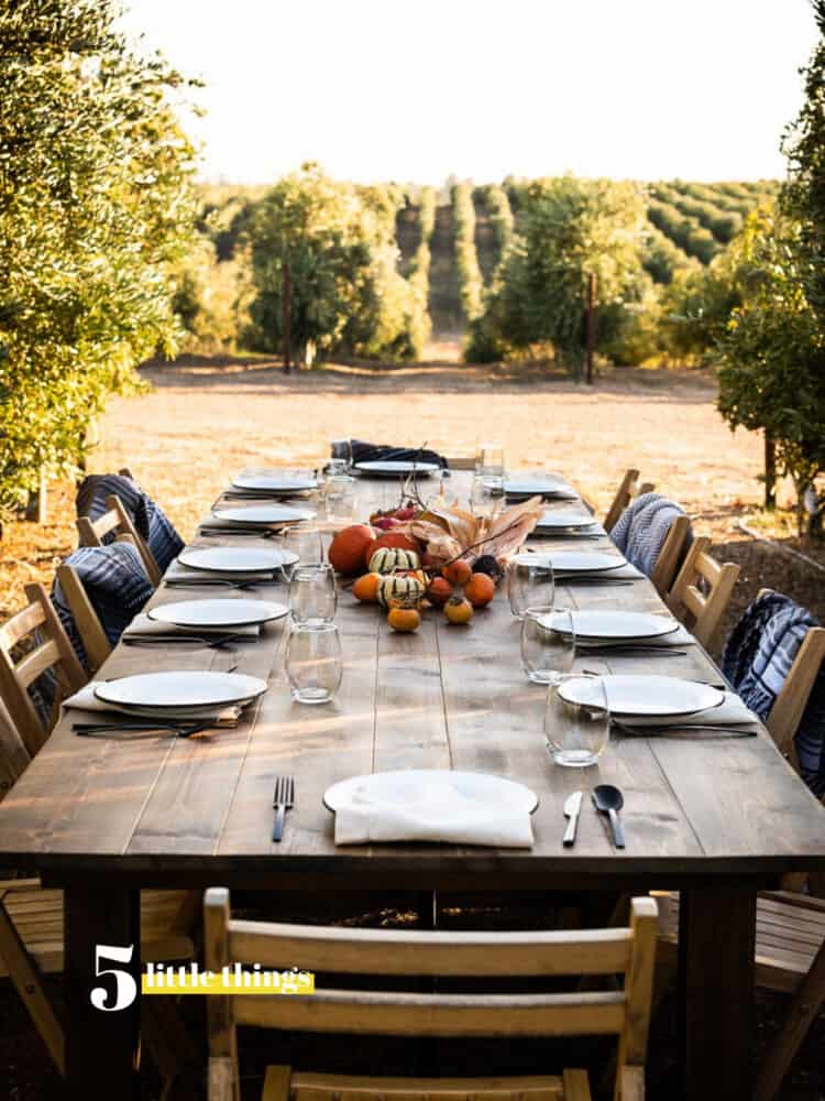 Dinner in the olive groves - one of Five Little Things I loved the week of October 25, 2019.