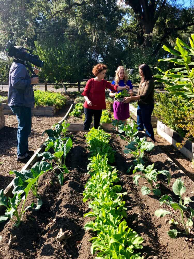 Shooting and episode of Plates & Places with Joanne Weir in California wine country.