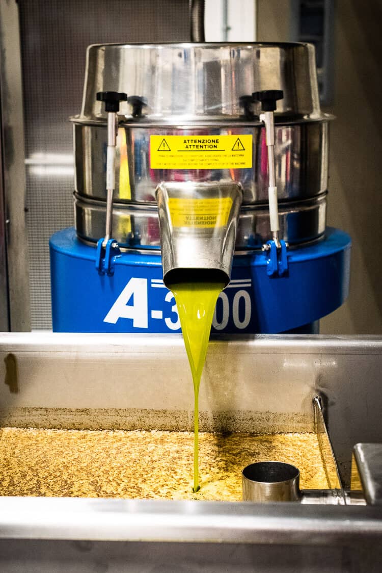 Freshly pressed extra virgin olive oil - Cobram Estate Harvest Tour.