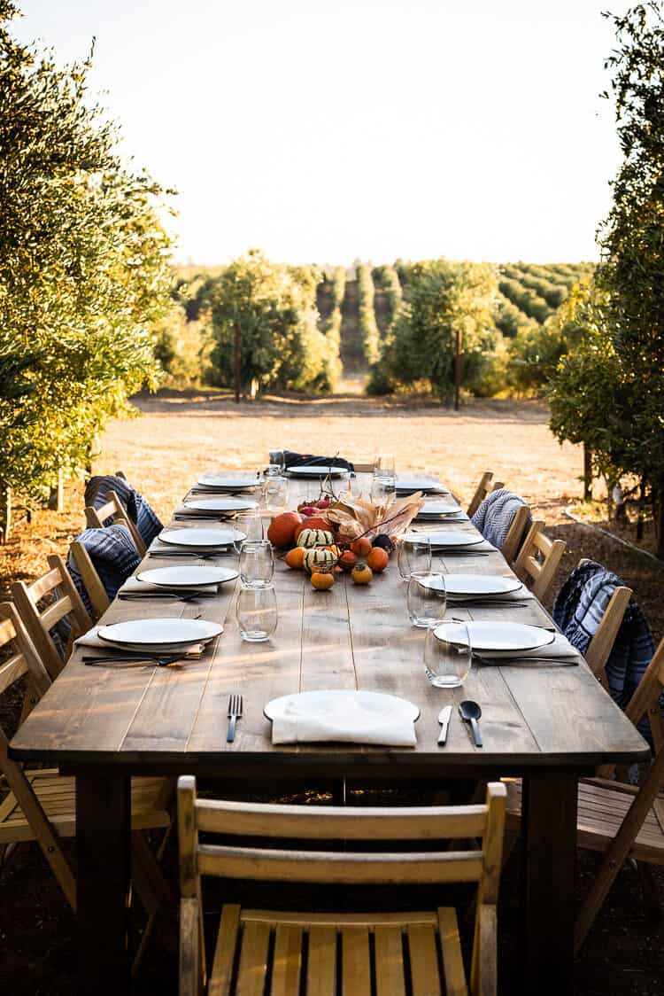 Dinner in the olive groves during Cobram Estate Harvest 2019.