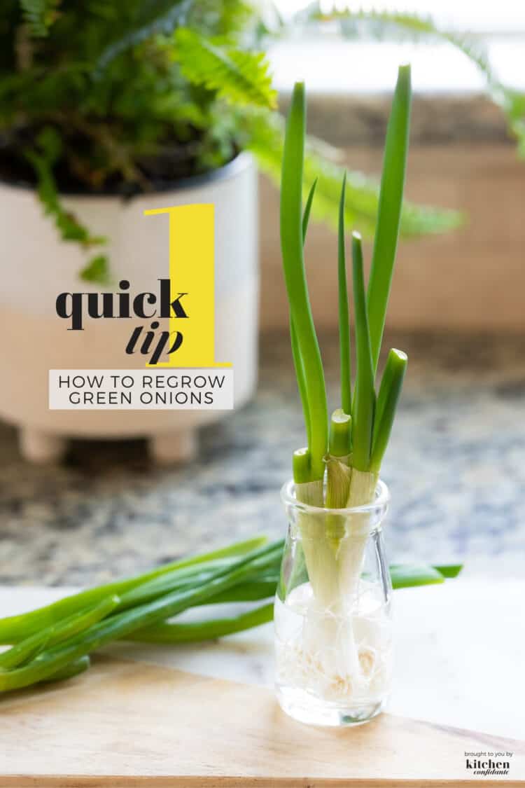 Green onions regrowing in a glass jar.