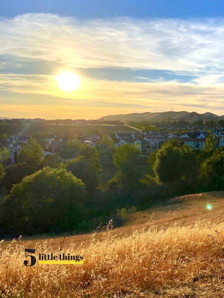 Golden hour in California
