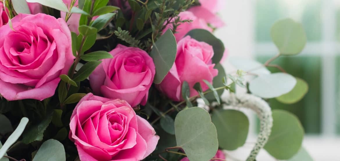 Pink anniversary roses were one of Five Little Things I loved the week of September 4, 2020.