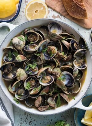Steamed clams in broth without wine in a white pot.
