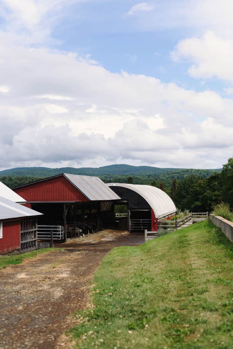 Ackermann Farm in Cabot, Vermont.