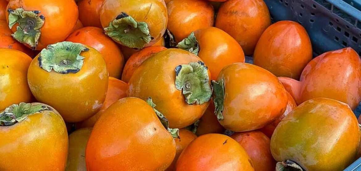 Persimmons at the farmers market.
