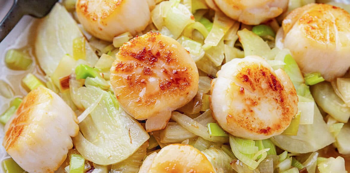 Seared scallops with braised fennel & leeks.