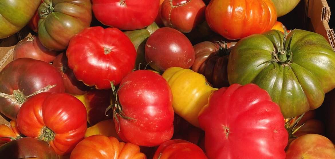 Heirloom tomatoes at the farmer's market were one of the Five Little Things I loved the week of August 4, 2023.