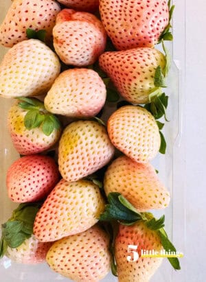 Trying wineberries were one of the Five Little Things I loved the week of March 13, 2026.