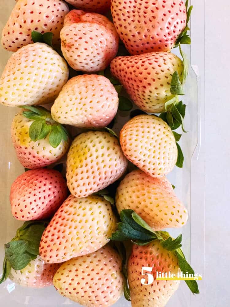 Trying wineberries were one of the Five Little Things I loved the week of March 13, 2026.