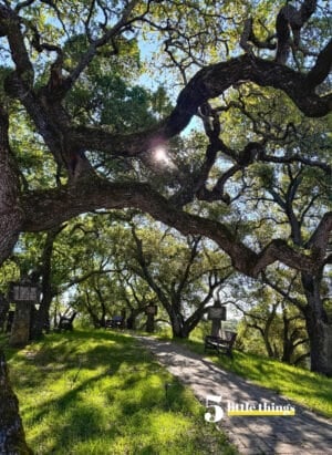 Nature is one of the Five Little Things I loved the week of March 20, 2026.