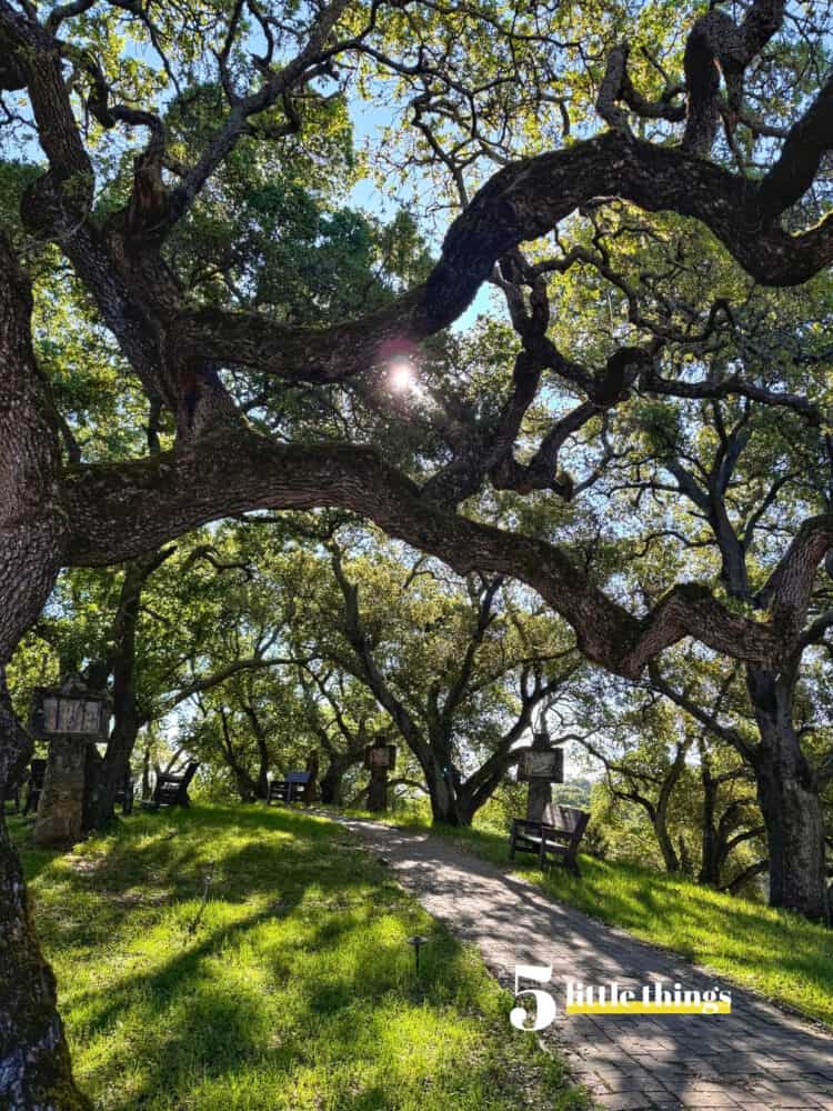 Nature is one of the Five Little Things I loved the week of March 20, 2026.