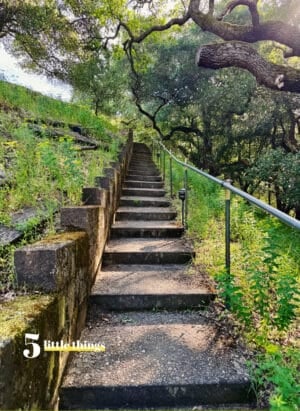 A path in Northern California.