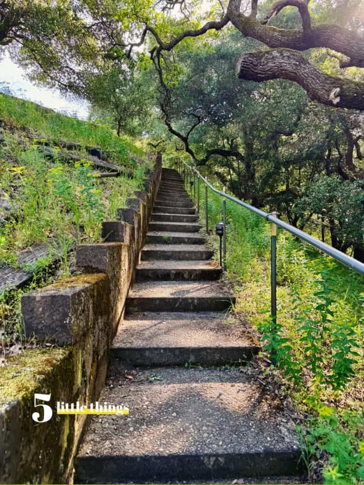 A path in Northern California.
