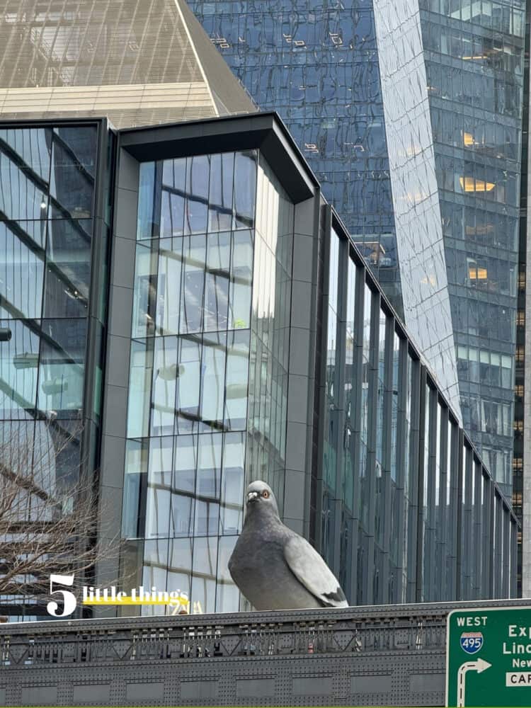 New York City Dinosaur sculpture, one of the Five Little Things I loved the week of April 3, 2026.