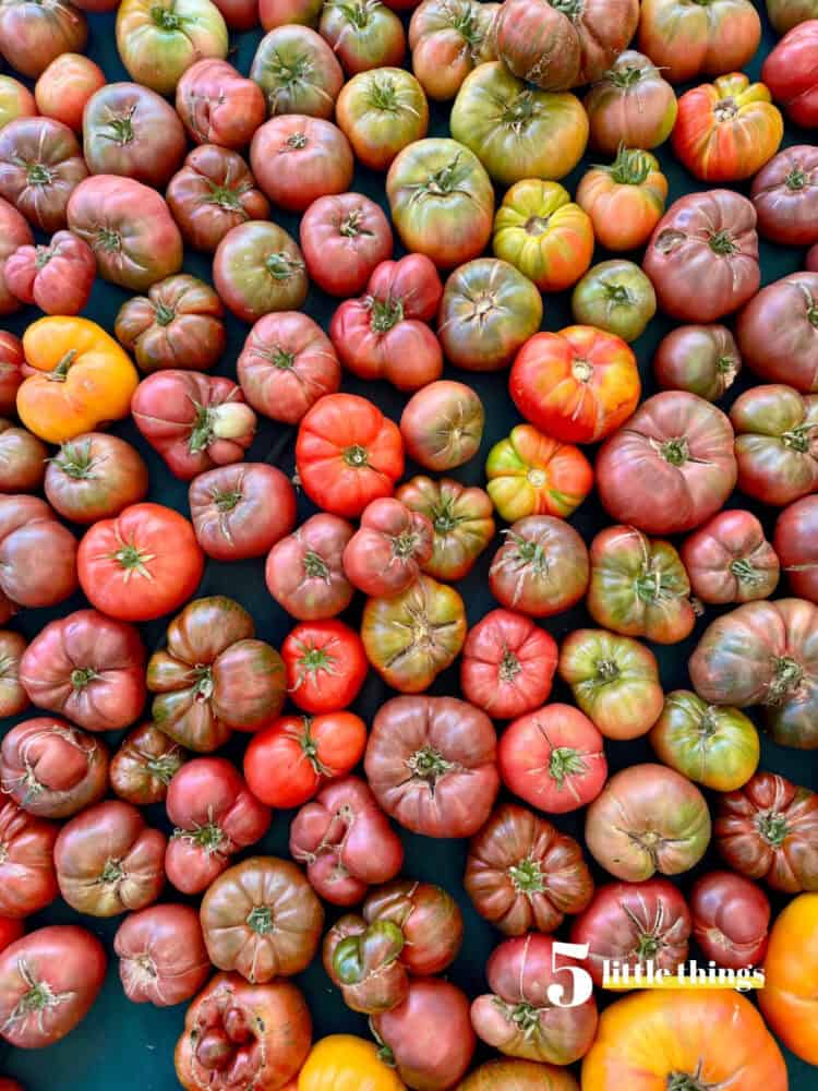 Five Little Things I loved the week of June 12, 2026: heirloom tomatoes, San Francisco's last jeepney, The other Bennet Sister, and more!